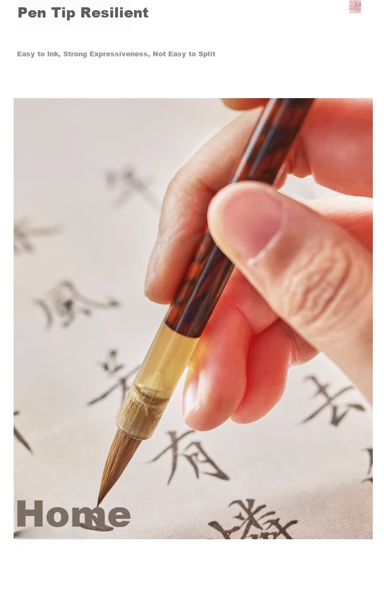 Liupintang Jingtailan Wolf Hair Brush Set, Medium Regular Script And Mixed Hair for Beginners, Four Treasures of The Study, Sheep Hair for Regular Script, Clerical Script And Running Script, Gift Box for Chinese Painting Beginners, High-Quality Hu Brush 7