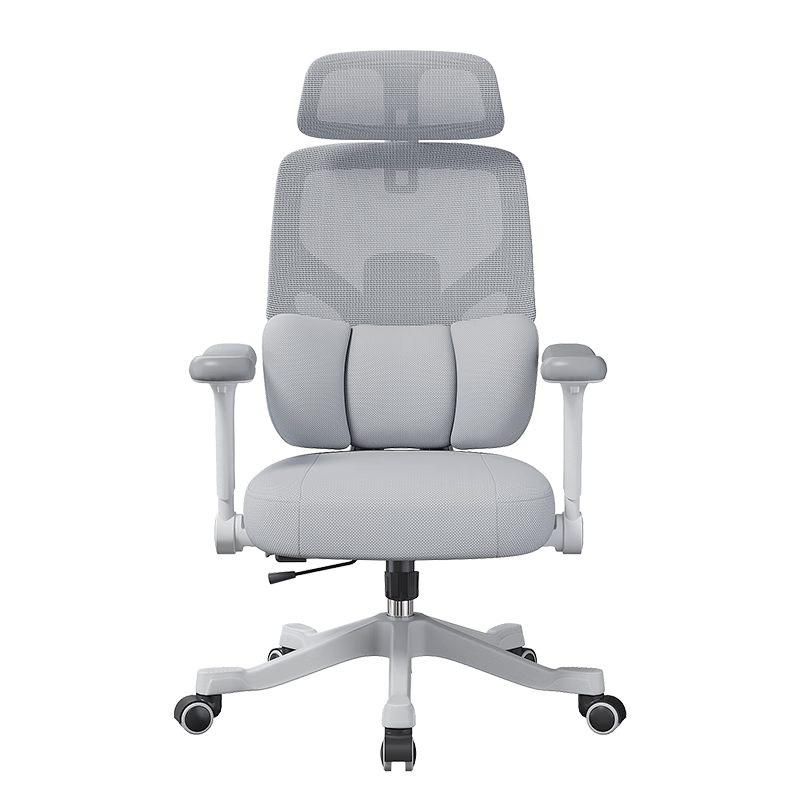 Xige E9 Study Chair Student Desk Computer Chair Ergonomic Seat for High School Students Age 12-18 Home Use