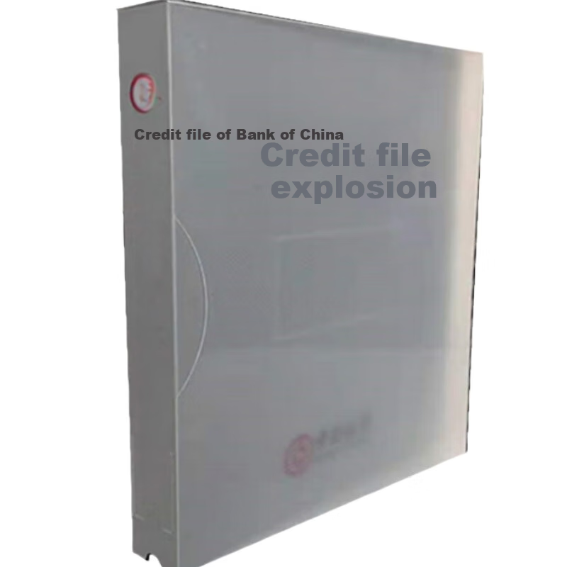 RYZH Credit File Box, PP Plastic File Box, Spine Thickness up to 40mm, 20 Pages inside, 310mm*260mm*40mm, 50 Pieces/unit