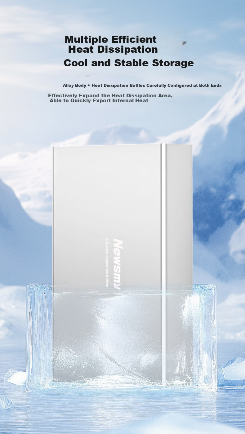 Newsmy 4TB Mechanical Hard Drive, 3.5-Inch Desktop Storage, Xingji Series Fashion Edition, Type-C USB3.1, Space Silver, Metal Shell, Large Capacity 8