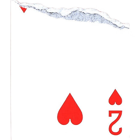 White Image 2