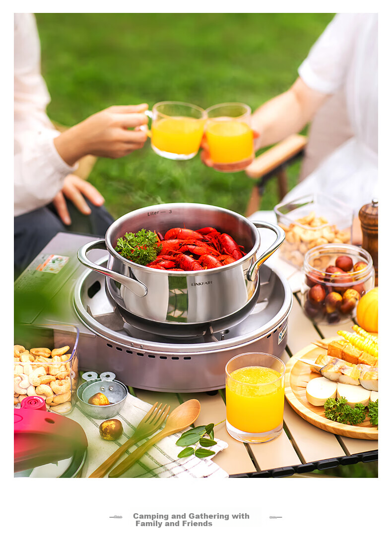 LINKFAIR 4L Mini Stainless Steel Pressure Cooker Explosion-Proof Household High-Pressure Cooker One-Button Press Gas and Induction Cooker Compatible 10