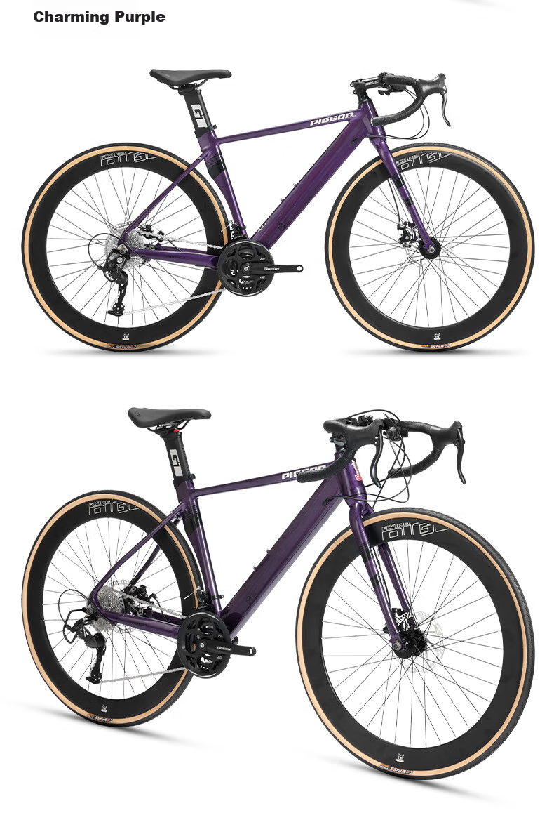 FG FLYING PIGEON Road Bicycle, 700C Aluminum Alloy Frame, 27-Speed, for Men And Women, Adults And Students, City Racing Bike, Nebula Gray 21