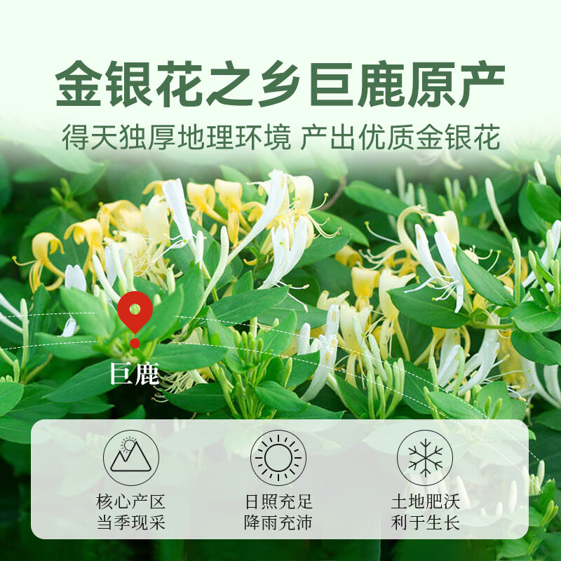 贡苑 金银花茶100g 特优级清凉茶干花火泡水去婴儿童湿热疹泡澡搭菊花