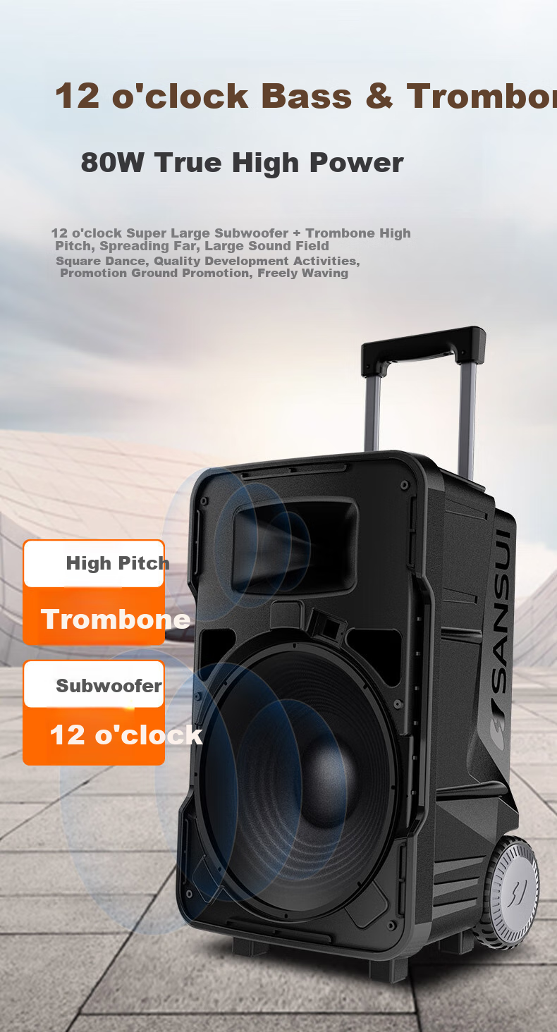 SANSUI E08 Karaoke Speaker, Outdoor Portable Amplifier, High-Volume Bluetooth Mobile Speaker, Powerful Singing Outdoor KTV Performance Stage Dual Microphone 13