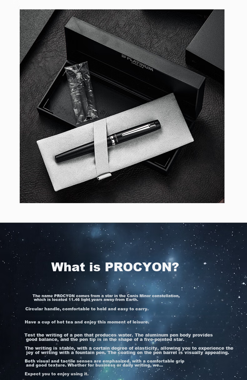 PLATINUM Fountain Pen Gift Box PNS-5000 with Iridium Nib for Calligraphy Practice, Business Office Signature Pen, Replaceable Ink Cartridge, Dark Cloud Mother F Nib 2