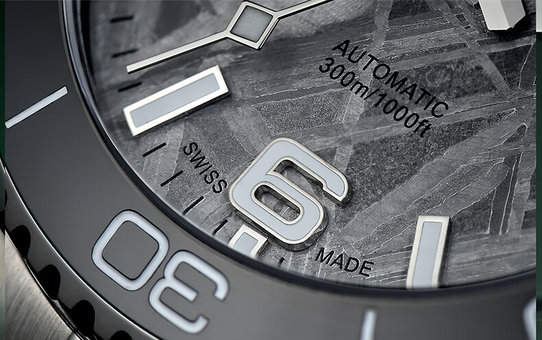 LOUIS SCHWAB Swiss Brand SW-200 Original Movement, Imported Fully Automatic Mechanical Men's Watch, Birthday Gift 1