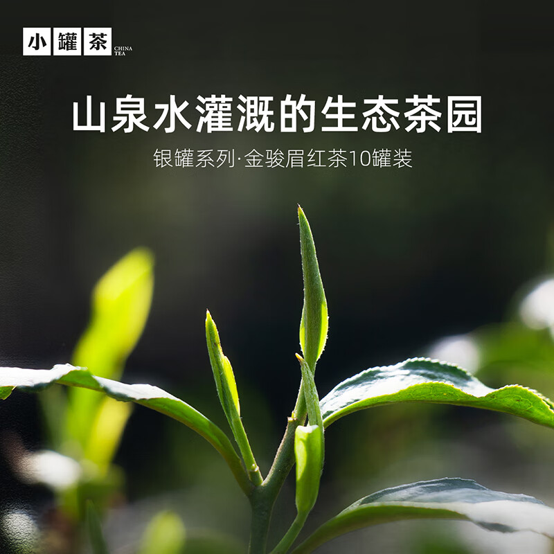 小罐茶银罐系列特级金骏眉红茶10罐40g茶叶礼盒商务礼赠花果香馥郁 