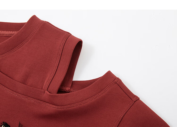 Demana [Relaxed Life] Autumn Simple Style Cloud Oxygen Cotton Off-Shoulder Embroidered Loose Fit Petite Elegant Sweatshirt for Women 14
