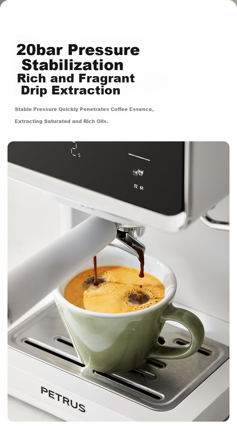 Petrus Cold Brew Coffee Maker, Home Use Fully Automatic And Semi-Automatic Italian Milk Frother, Espresso Extraction, Cold And Hot Dual Extractio 10
