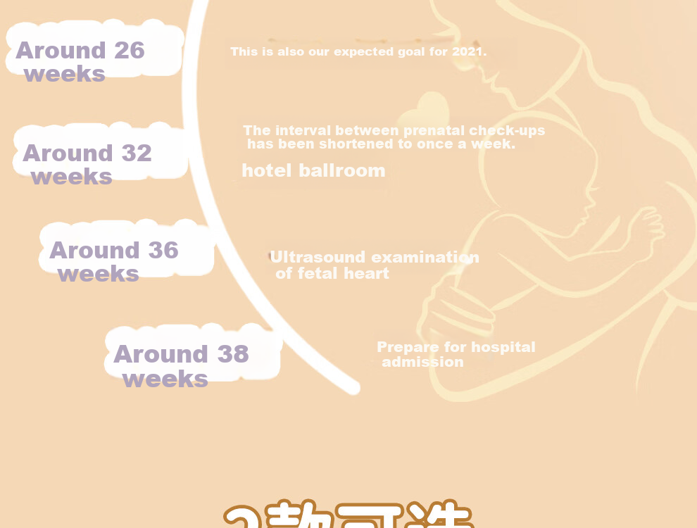 Jiaranheng Pregnancy Check-Up Organizer, Prenatal Report A4, Pregnancy Record Book, File Storage Pouch, Loose-Leaf Portable B-Ultrasound Examination Form, File Folder, Large Capacity Collection Book, Blue 2