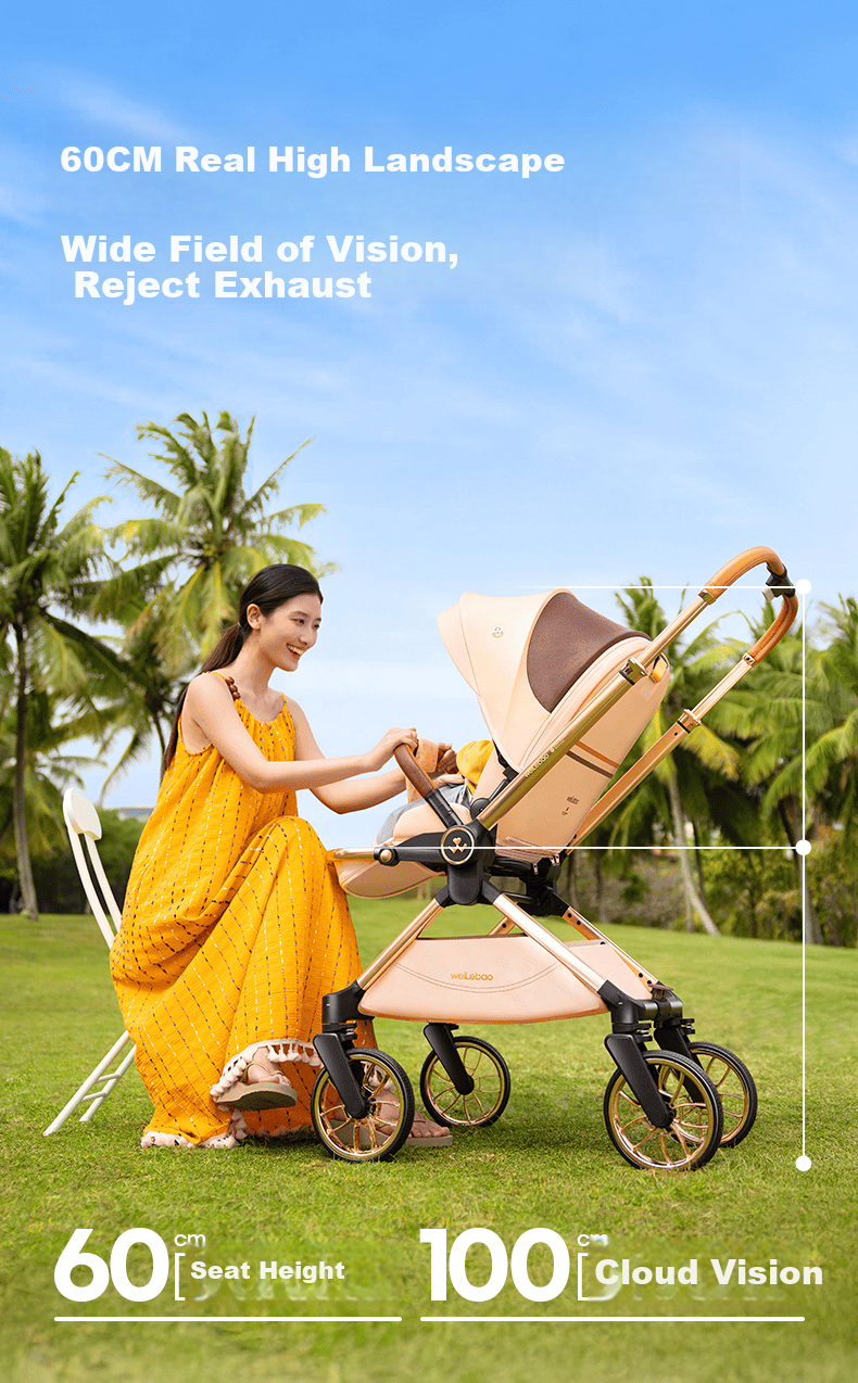 Welebao Huhangjia Baby Stroller Convertible Recline One-Key Folding Reversible High Landscape Lightweight Newborn Infant Pushchair B 25