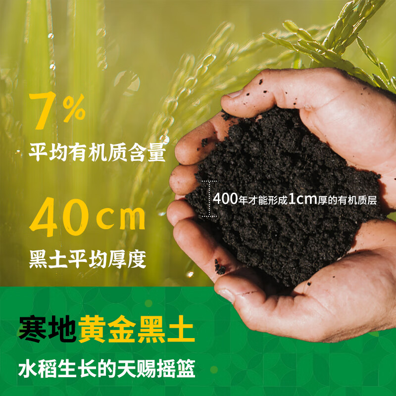 花中花东北大米 三江珍珠米 10斤 当季新米 家庭装长粒香米一级大米