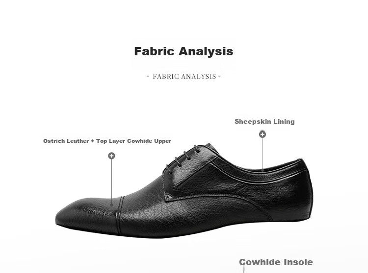 Goldlion Men's Derby Shoes, Business Formal Shoes, Fashionable And Comfortable Leather Shoes G521330304AAA Black Size 39 15