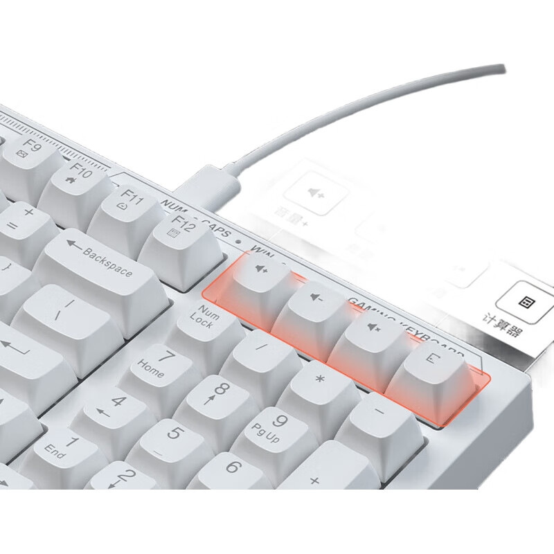 White Image 2