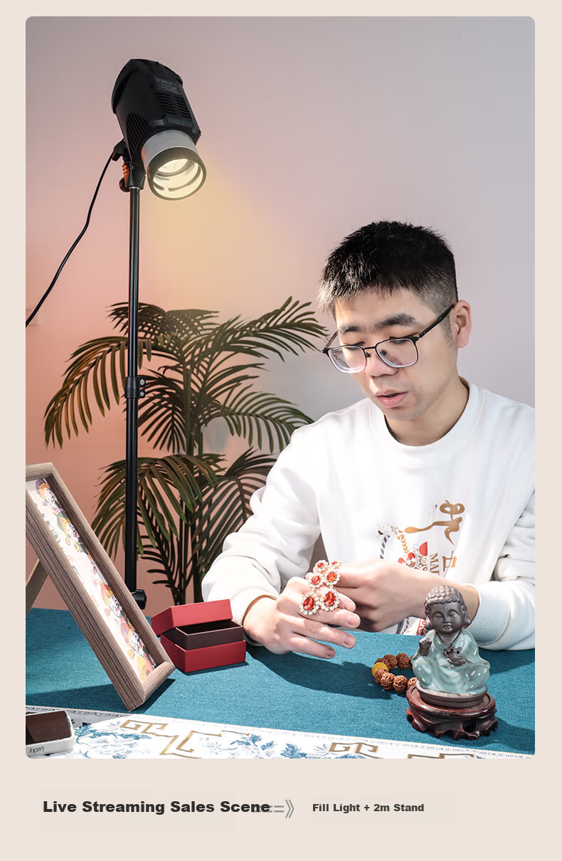 Hakutatz Hair Light, Live Streaming Special Fill Light, Contour Shaping Spotlight, Ceiling Spotlight, Photography God, Girl Atmosphere, Entertainment Live Room 8