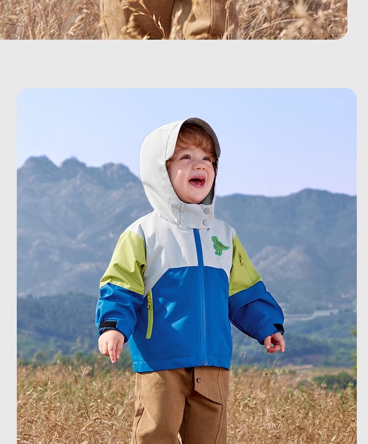 Qiqi Bear Boys' Windbreaker Outdoor Jacket Children's Autumn 3-in-1 Thickened Baby Three-Proof Winter Coat 29