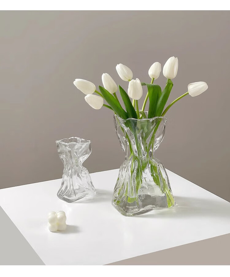 Fanye Premium Glass Vase Transparent Water Flowerpot Irregular Ins Style Decorative Flower Arrangement for Living Room Dried Flowers 1