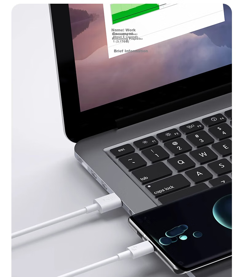 Nengshi Type-C Data Cable, 6A Charging Cable, 100W Fast Charging, Suitable for Huawei, Honor, OPPO, Xiaomi, 66W Android Phones, USB-C Fast Charging Cable, 0.25 Meters White [Two-Pack] 21