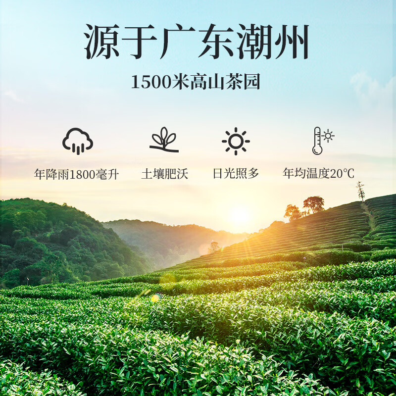 一杯香茶叶潮州乌龙茶凤凰单枞鸭屎香250g礼盒装送礼自己喝散装茗茶