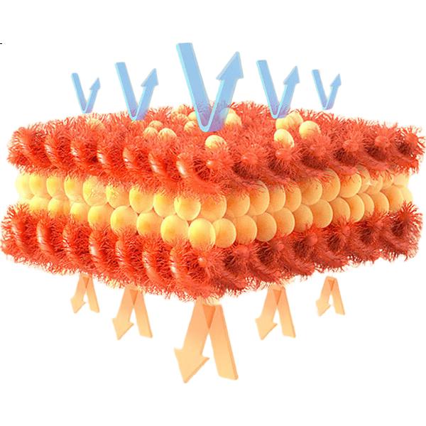 Женская бесшовная термофутболка XUEXIMAN с длинным рукавом, антибактериальная, с поддержкой груди, ультратонкая, облегающая, невидимая, размер L, черная