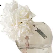White Image 3