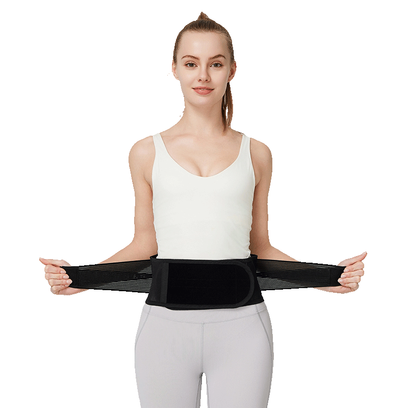 D&M Sports Lumbar Support Waist Brace Dual Stabilization for Herniated Disc Long Sitting Men and Women Japanese Import