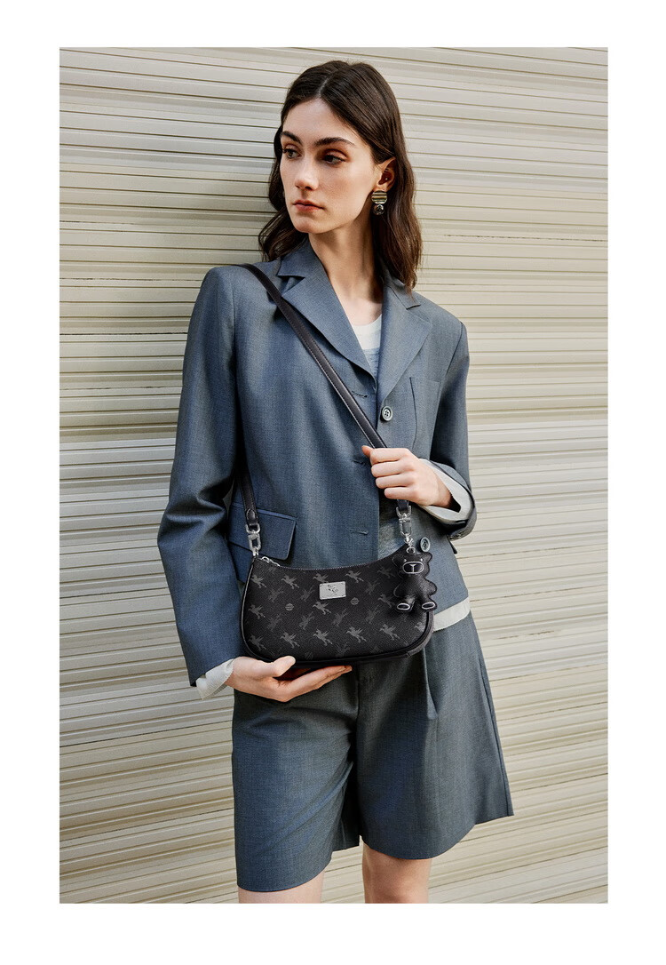 NUCELLE Pegasus Crescent Bag, 2026 Light Luxury Niche Underarm Dumpling Bag, Shoulder Crossbody Women's Bag, Valentine's Day Birthday Gift for Wome 17