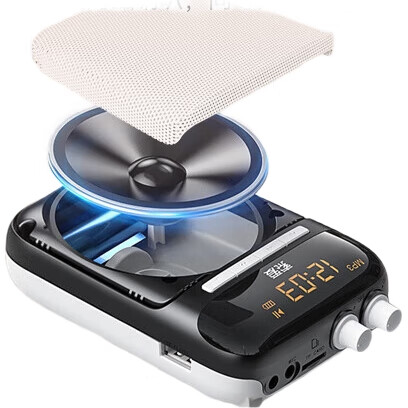 Портативный усилитель звука Soaiy S318PRO, 10 Вт, с Bluetooth, TF-картой, U-диском, микрофоном, для учителей и гидов, цвет "розовое золото"