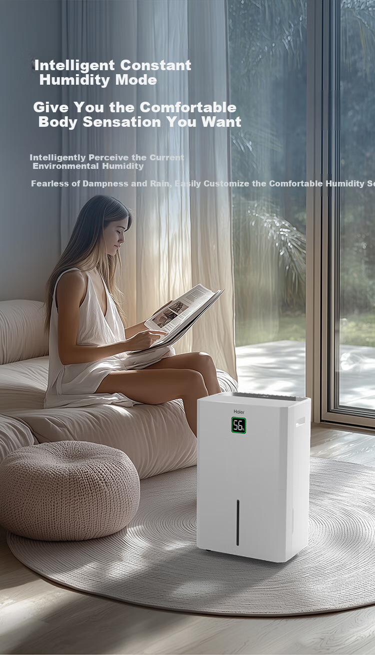 Haier Dehumidifier, Indoor Home Use, Suction Moisture Pump, Top-Loading, Basement Villa Industrial High-Power Moisture Absorption, Humid Season, 55 Upper Drainage, Clothes Drying Device CF55-JYAU1 3