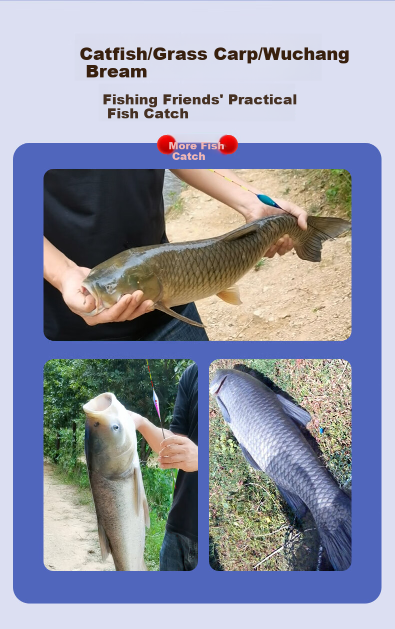 Xiaofengxian Fengquan A-ND02 Fishing Float, Big Fish Float No. 1, Thick-Tailed Carp Float for Lakes And Reservoirs, Fishing Tackle 3