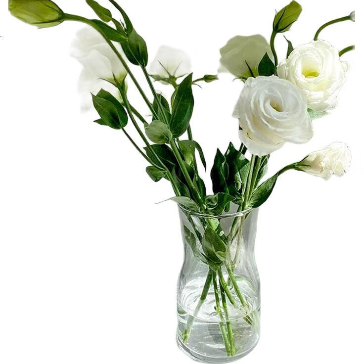 White Image 3