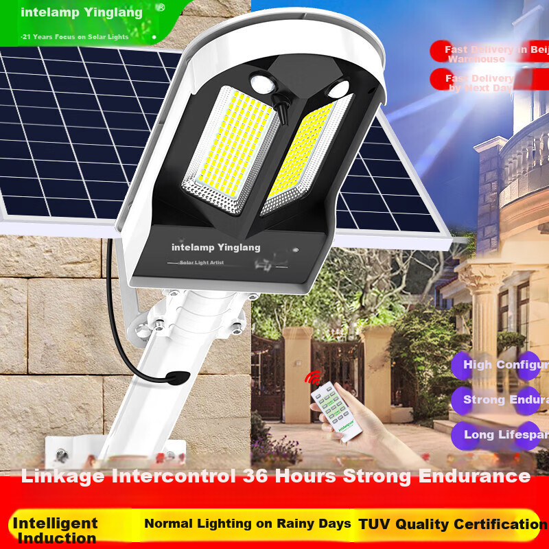 Intelamp Solar Street Light, Outdoor Lighting, Garden Light, Rural Household Sensor Floodlight, Waterproof, Automatic On at Night