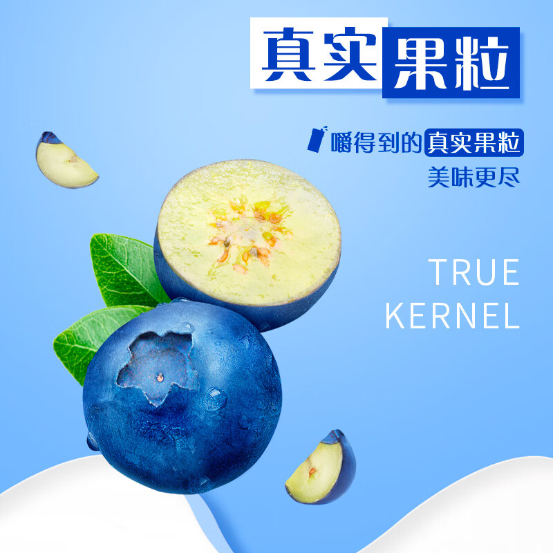 蒙牛纯甄蓝莓果粒风味酸奶200g*10盒 送礼盒装