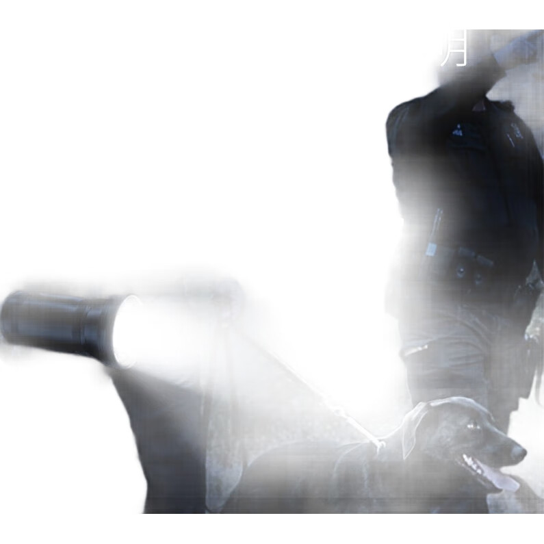 White Image 1