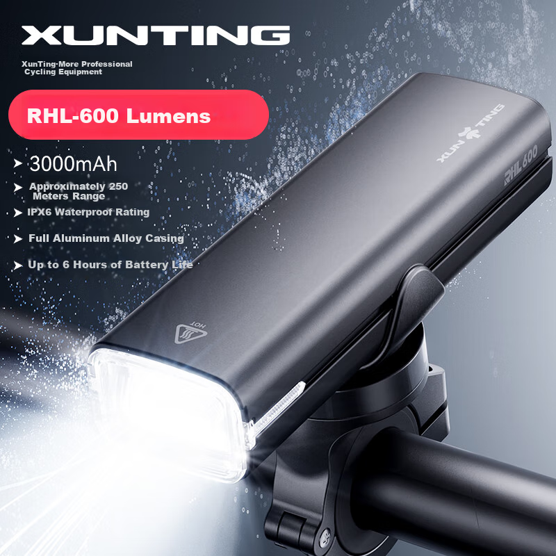 Xunting Bi-01310421
