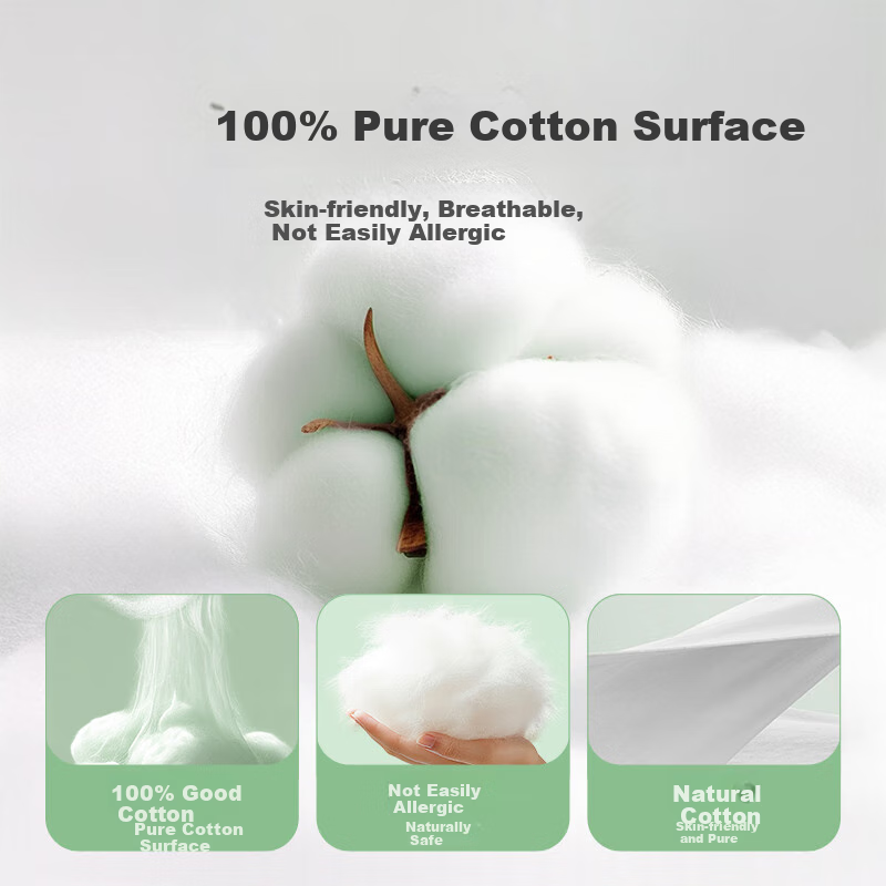 Fuyanjie Herbal Sanitary Napkins, 100% Pure Cotton Surface Layer, 8 Times Herbal Plant Essence, Dual Patents for Antibacterial And Deodorizing, Daytime Use, 40 Pieces