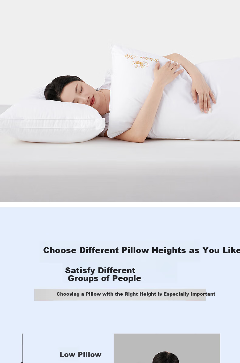 BEYOND Home Textile Pillow Core, Washable All-Cotton Embroidered Soft Pillow Core, Low Pillow Stand Tall Style Pair Set, Lianyi 48*74cm 3