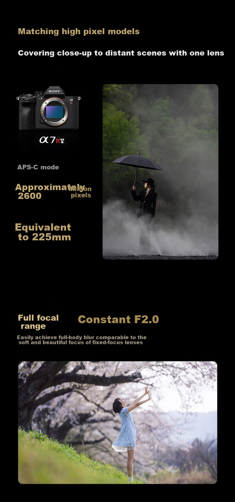 SONY FE 200-600mm F5.6-6.3 G OSS Full-Frame Super Telephoto Zoom G Lens Birding Lens (SEL200600G) 4
