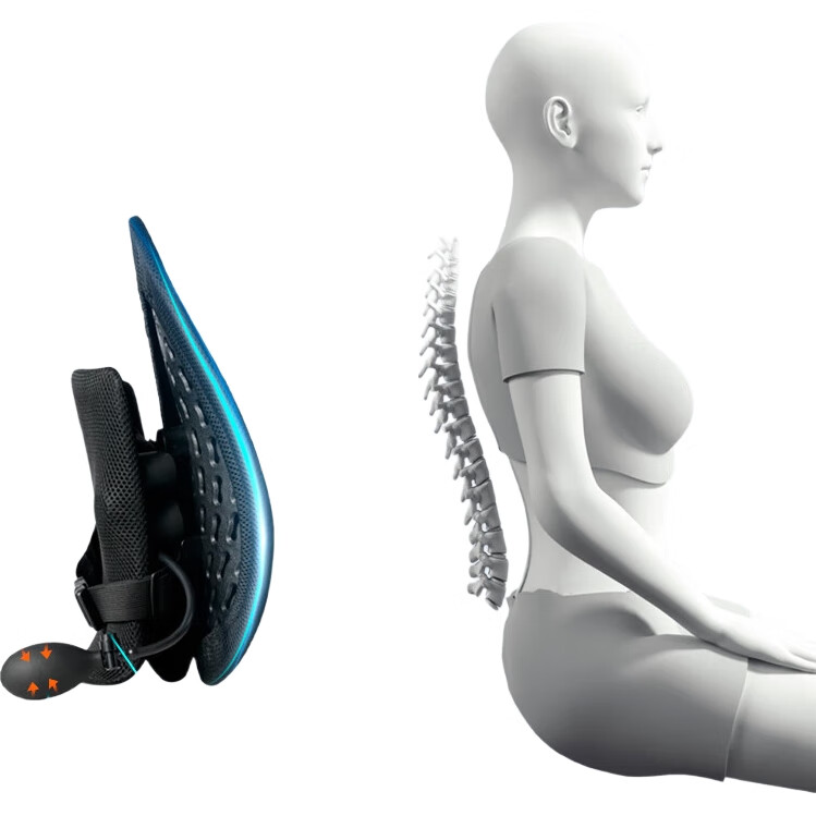 Подушка для спины PPW Lumbar Support Ergonomic Back Cushion Car Seat Pillow Office Lumbar Pillow Pad Back Support Brace