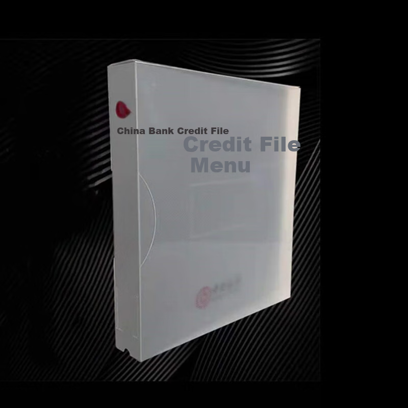 RYZH Credit File Box, PP Plastic File Box, Spine Thickness up to 40mm, 20 Pages inside, 310mm*260mm*40mm, 50 Pieces/unit 3