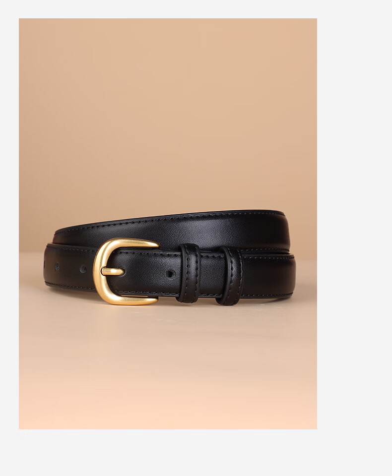 Hongdou Women's Leather Belt 2026 New Luxury Pin Buckle Belt Birthday Gift for Girlfriend Mom Valentine's Day Present 16