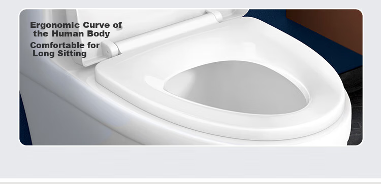 Larsd Toilet Seat, Universal V-Shaped Thickened Toilet Cover Accessory, Old-Style Quick-Release Toilet Ring, Toilet Seat Cover V08 19