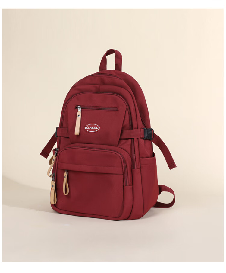Aiqinghai Backpack for Women, Laptop Bag, Fashionable High-End Stylish Travel Business Casual Sports Lightweight Commuter Bag 3