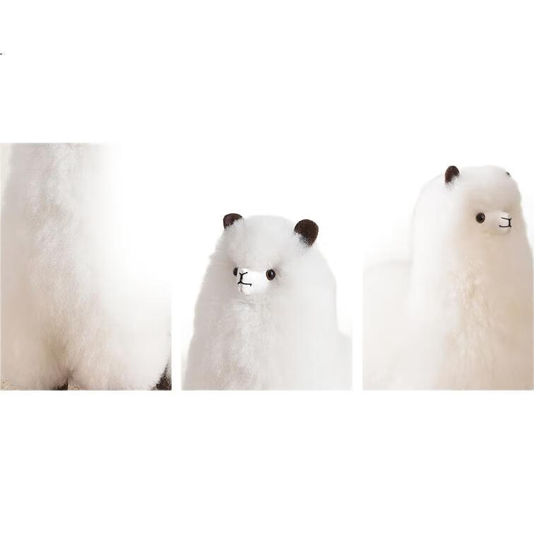 White Image 2