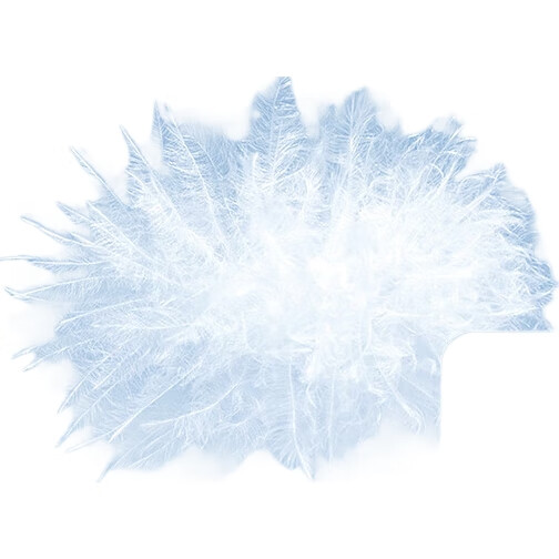 White Image 2