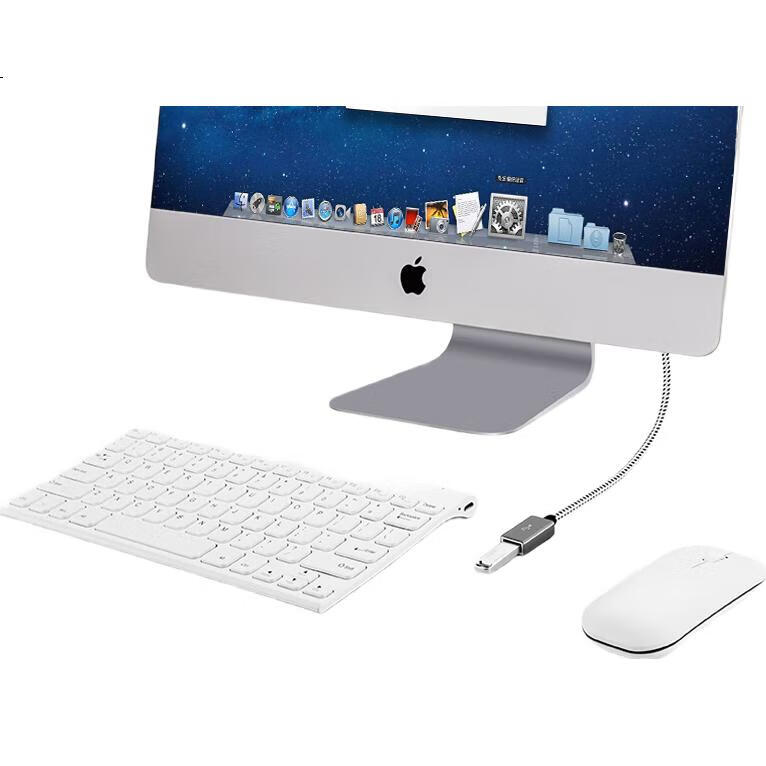 White Image 1