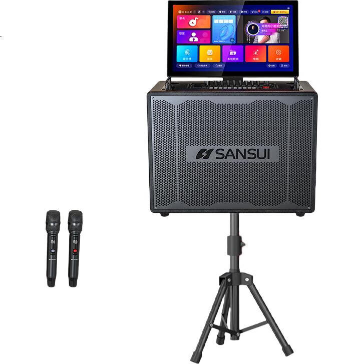 Аудиосистема SANSUI E93, портативная, домашняя караоке-система, Bluetooth, Wi-Fi, USB, HDMI, 2.1 канальная, с микрофонами