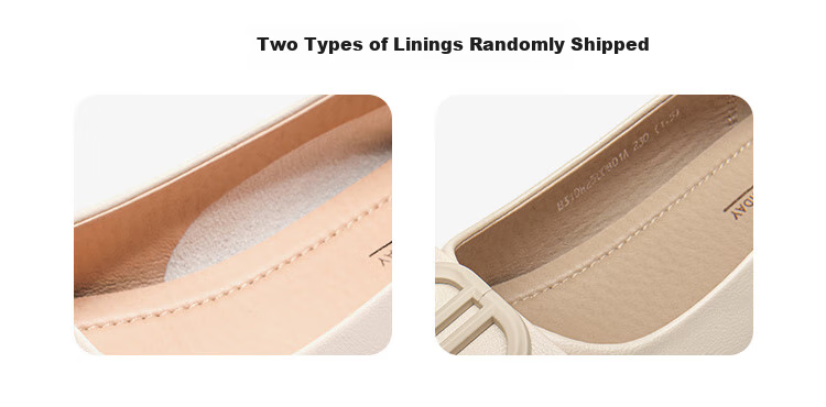 Dusto Pointed Toe Low-Cut Women's Flats, 2026 New Spring Style, Low Heel Flat Shoes, Loafers, Soft Sole, Commuter Women's Shoes 14