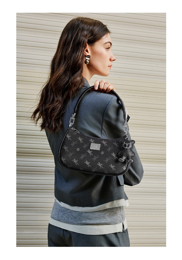 NUCELLE Pegasus Crescent Bag, 2026 Light Luxury Niche Underarm Dumpling Bag, Shoulder Crossbody Women's Bag, Valentine's Day Birthday Gift for Wome 16